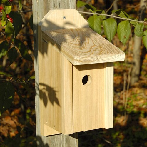 Heartwood 8-in W x 13-in H x 5.5-in D Unfinished Cypress Bird House at ...