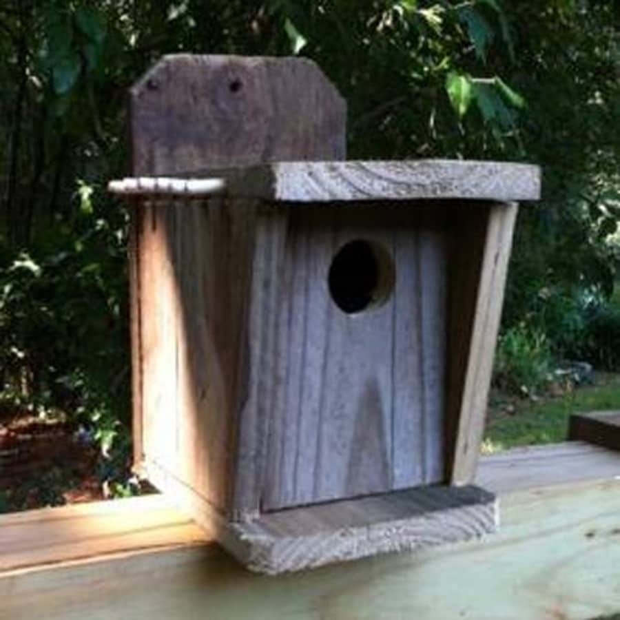 Wilderness Series Products 6-in W x 12-in H x 8-in D Natural Bird House ...