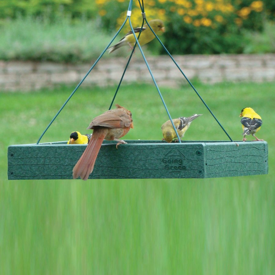 plastic extra large platform bird feeder