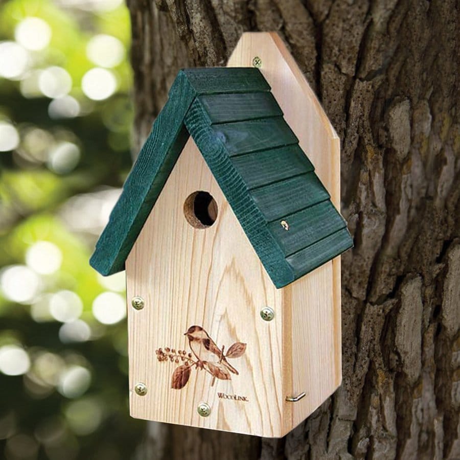 WoodLink 7.5-in W x 12-in H x 6-in D Green/Brown Bird House at Lowes.com