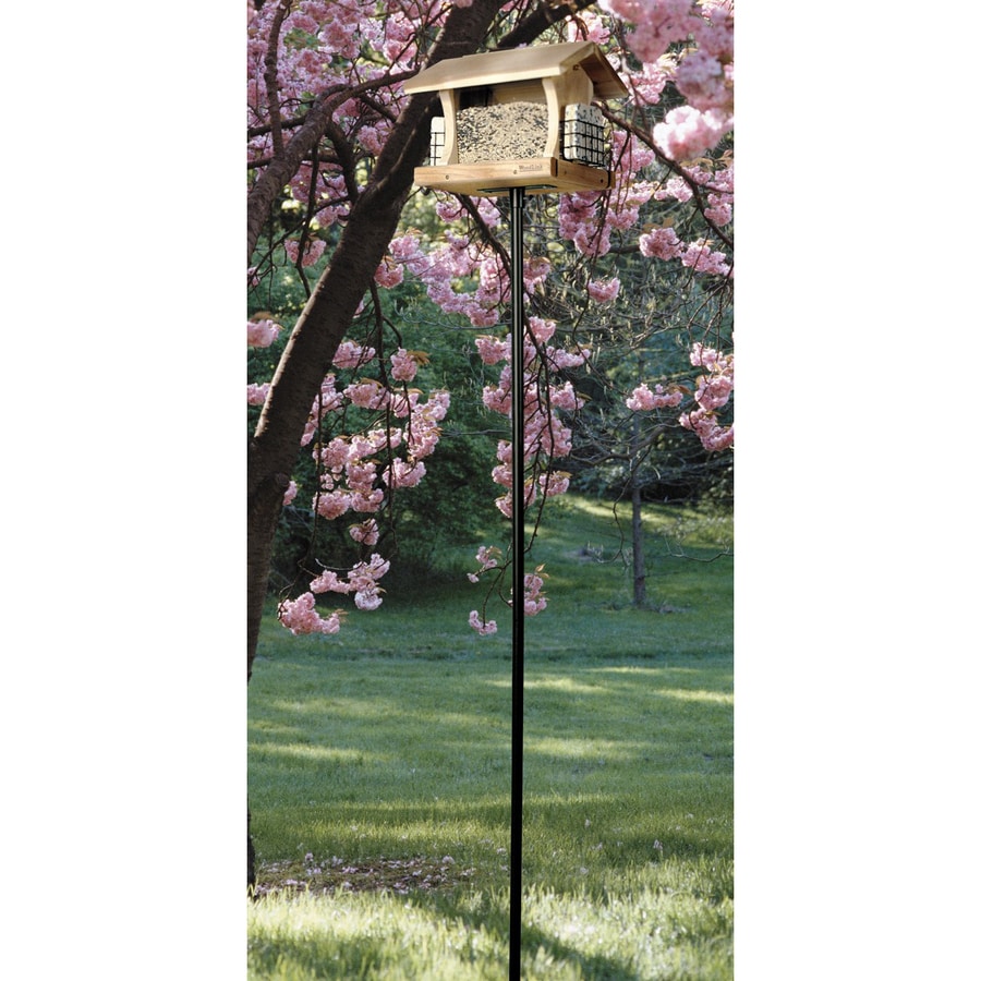 metal bird feeder pole