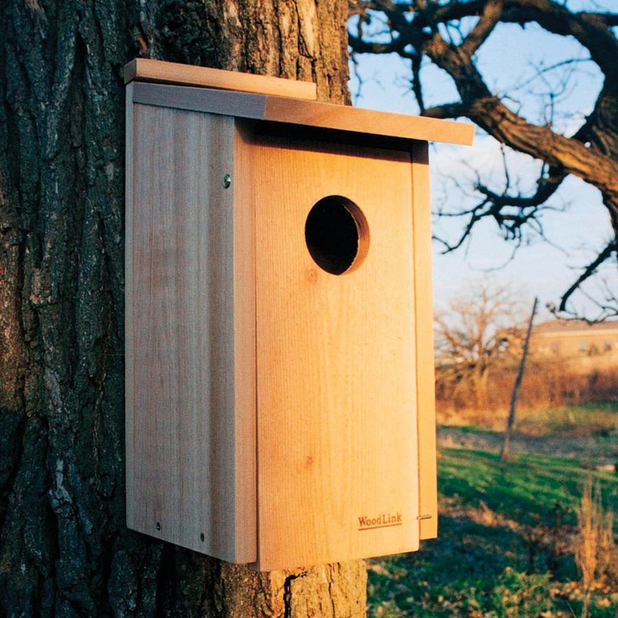 Shop WoodLink 11in W x 20in H x 8.75in D Natural Cedar Bird House at