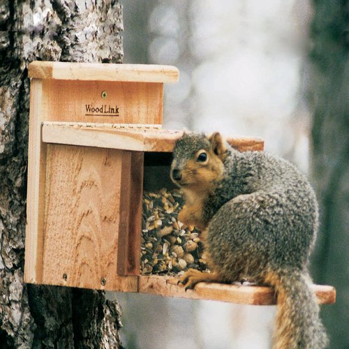 Woodlink Unfinished Cedar Lidded Box Squirrel Feeder At Lowes Com