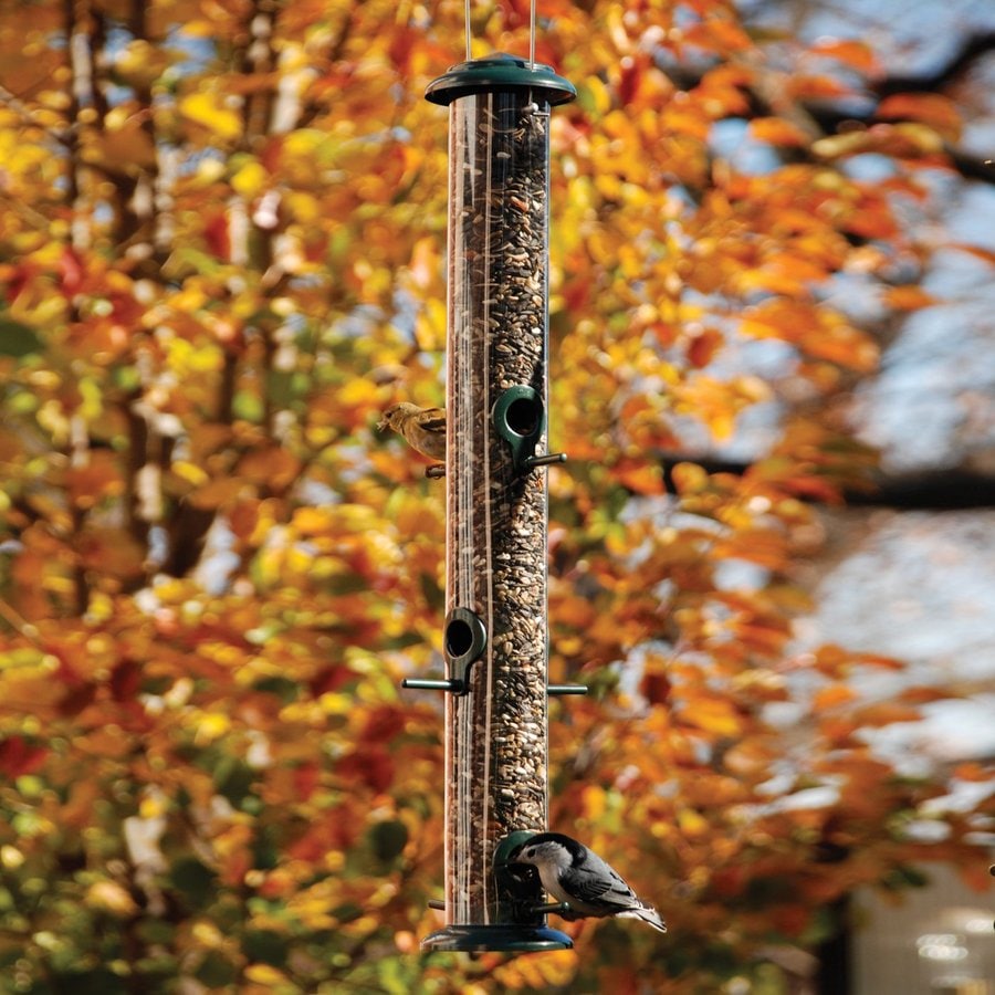 WoodLink Plastic Tube Bird Feeder at Lowes.com