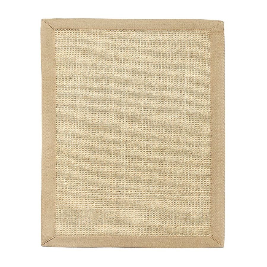 Shop Anji Mountain Sisal Indoor Oriental Area Rug 4 x 6