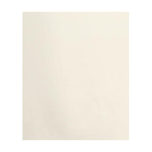 Transolid 0.25in x 72in Decor Cameo/Cream Shower Surround Back Wall