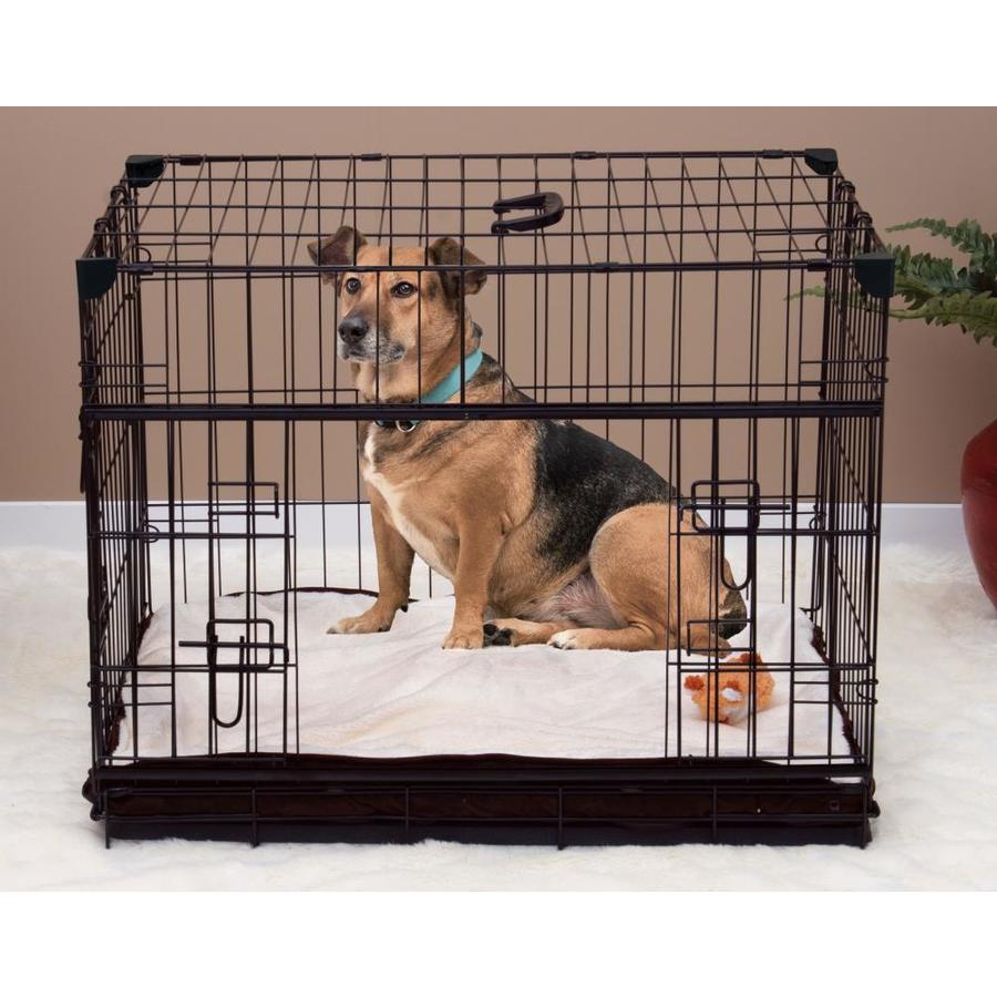 lucky dog crate