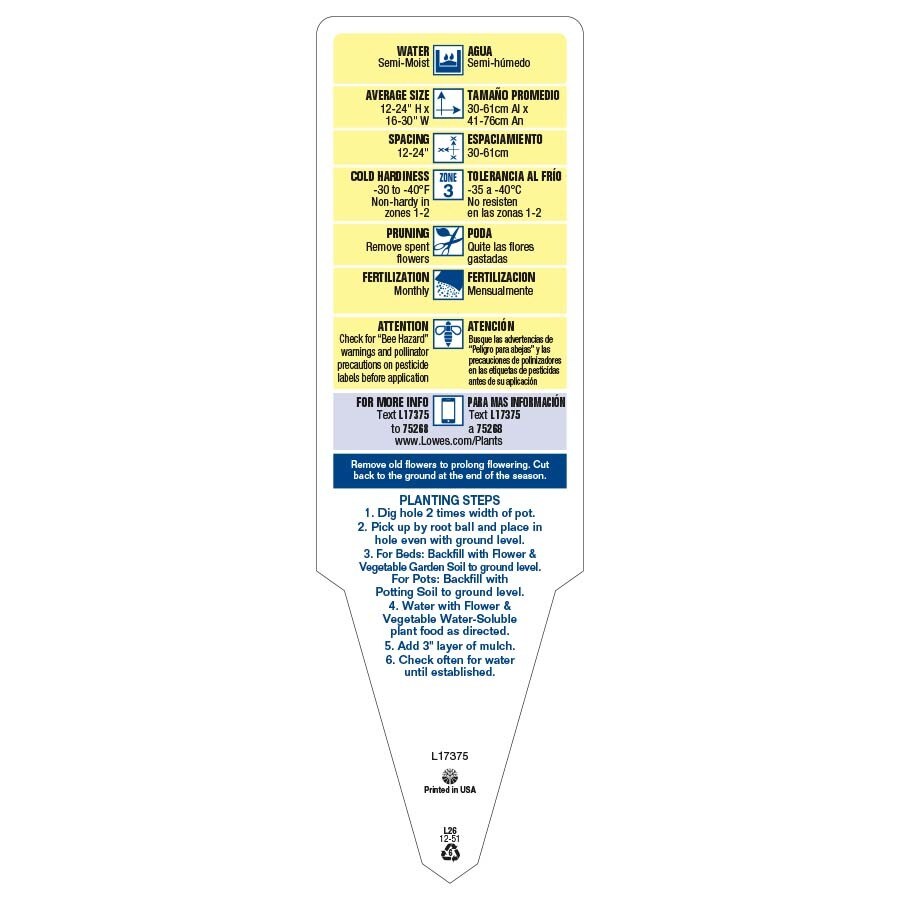 Lowe's NURSERY annuals - View #4