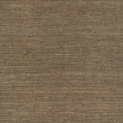 allen + roth Brown Grasscloth Unpasted Textured Wallpaper at Lowes.com