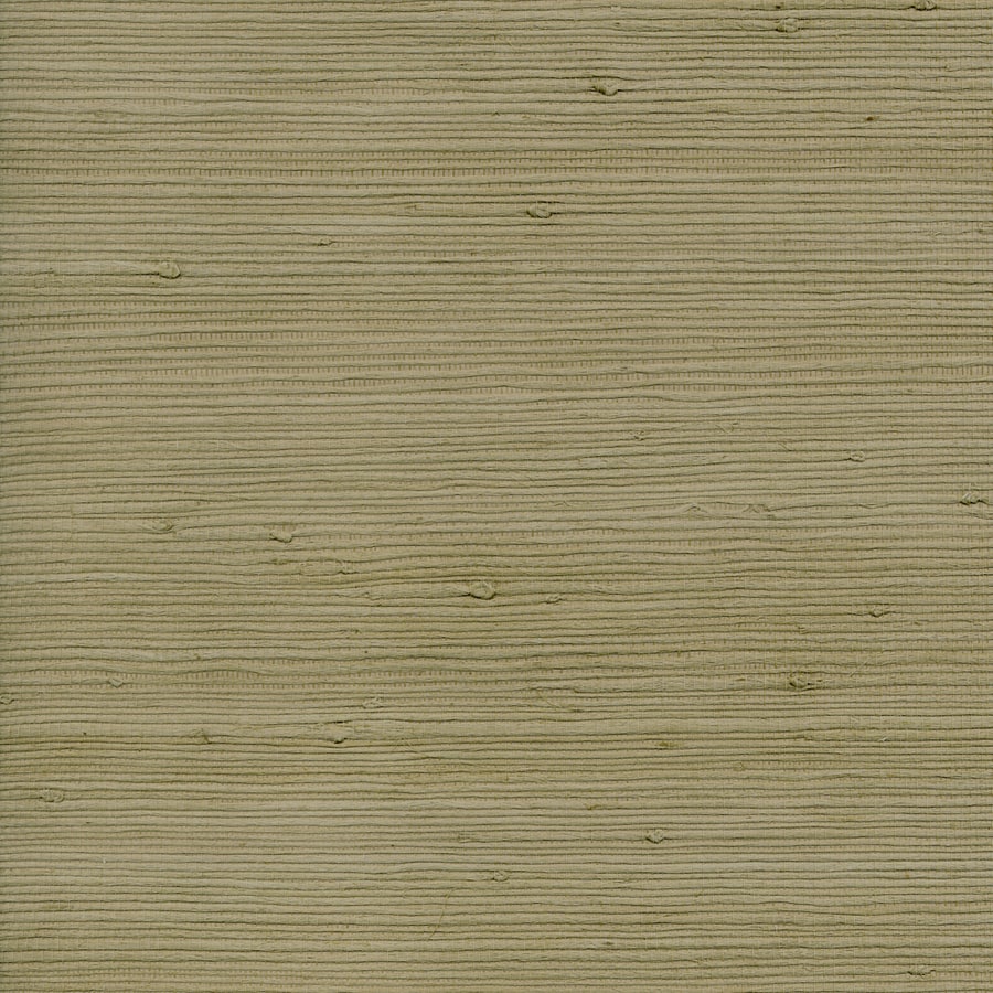 Allen + roth Sage Green Grasscloth Unpasted Textured Wallpaper at Lowes.com