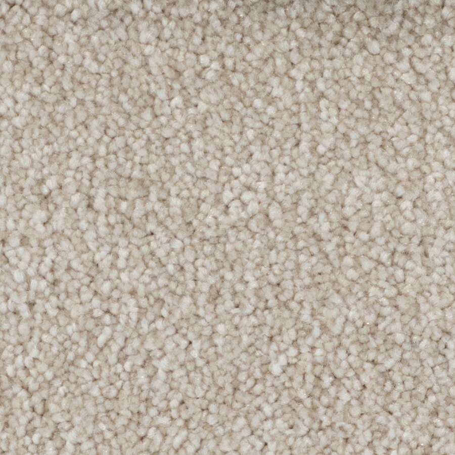 Plush Carpet at Lowes.com