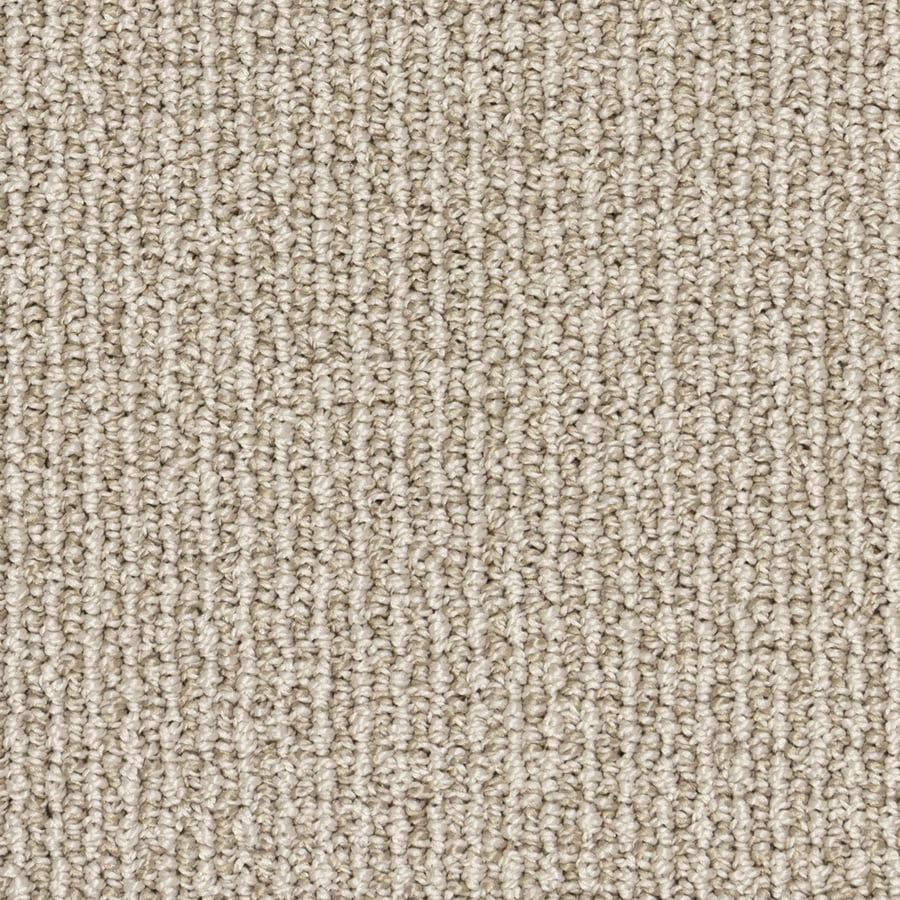 Multi-level loop Carpet at Lowes.com