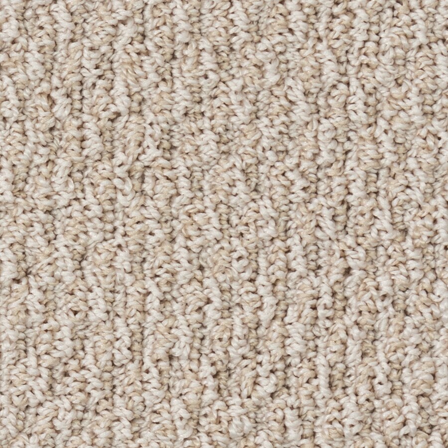 STAINMASTER Essentials Balboa Park Peaceful Day Multilevel Loop Carpet