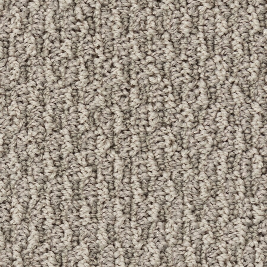 STAINMASTER LU436-9513E Essentials Balboa Park Ancestral Home Multi-level Loop Carpet Sample (Interior)