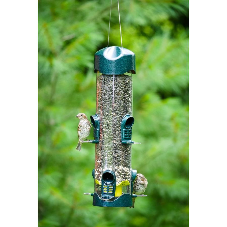 Mega Garden Green Metal Tube Bird Feeder in the Bird Feeders department ...