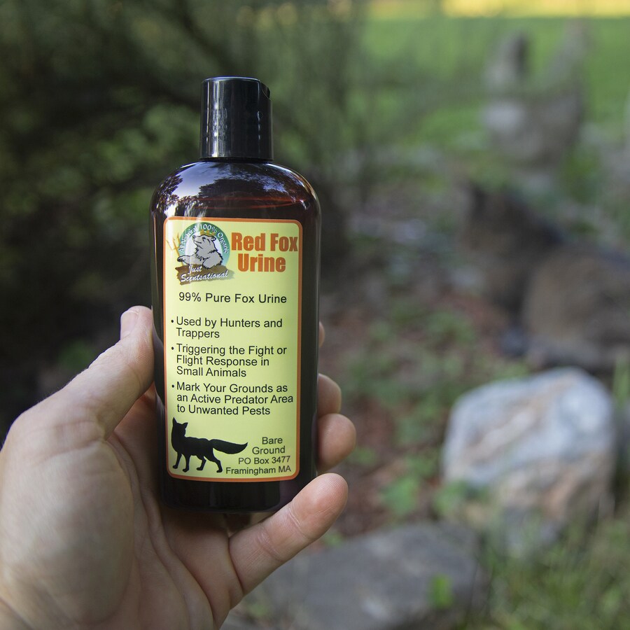 Just Scentsational Red Fox Urine 4-fl oz Animal Repellent in the Animal ...