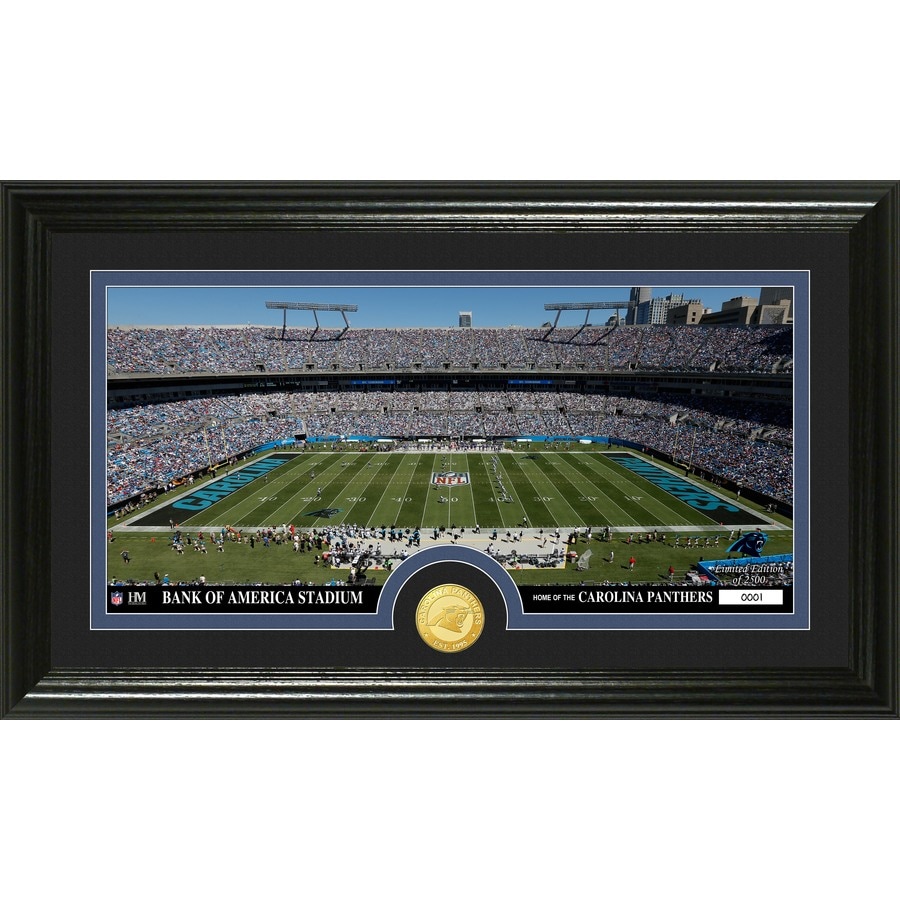 Carolina Panthers Panoramic Print - Bank of America Stadium