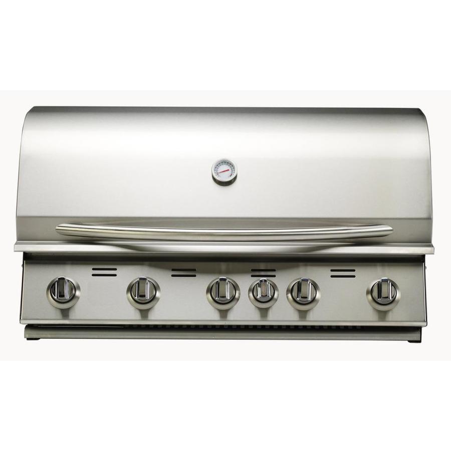 Bullet 5Burner BuiltIn Natural Gas Grill in the BuiltIn Gas Grills