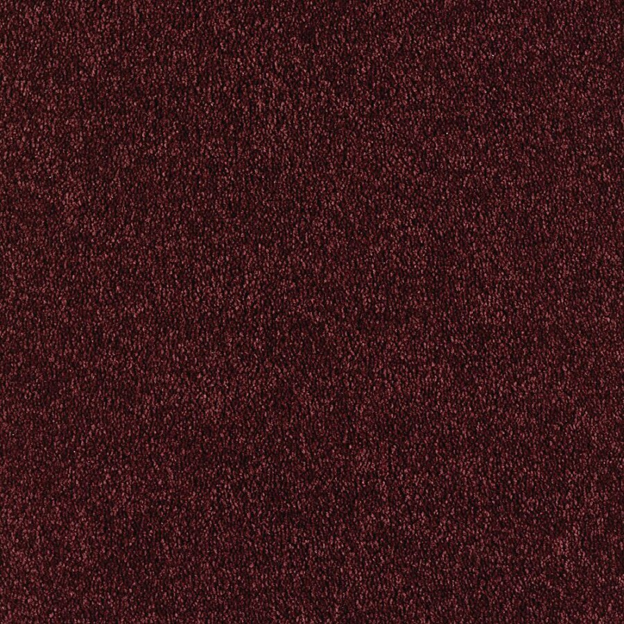 Lifestyle Choice Japanese Maple Textured Indoor Carpet at