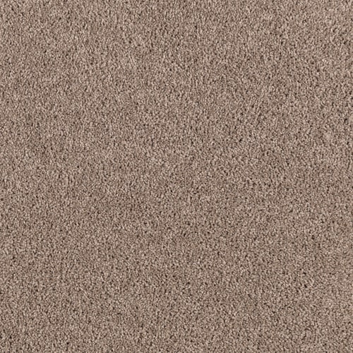 SmartStrand Smart Styles Solid Textured Indoor Carpet in the Carpet ...