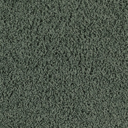 SmartStrand Smart Styles Solid Frieze Indoor Carpet in the Carpet