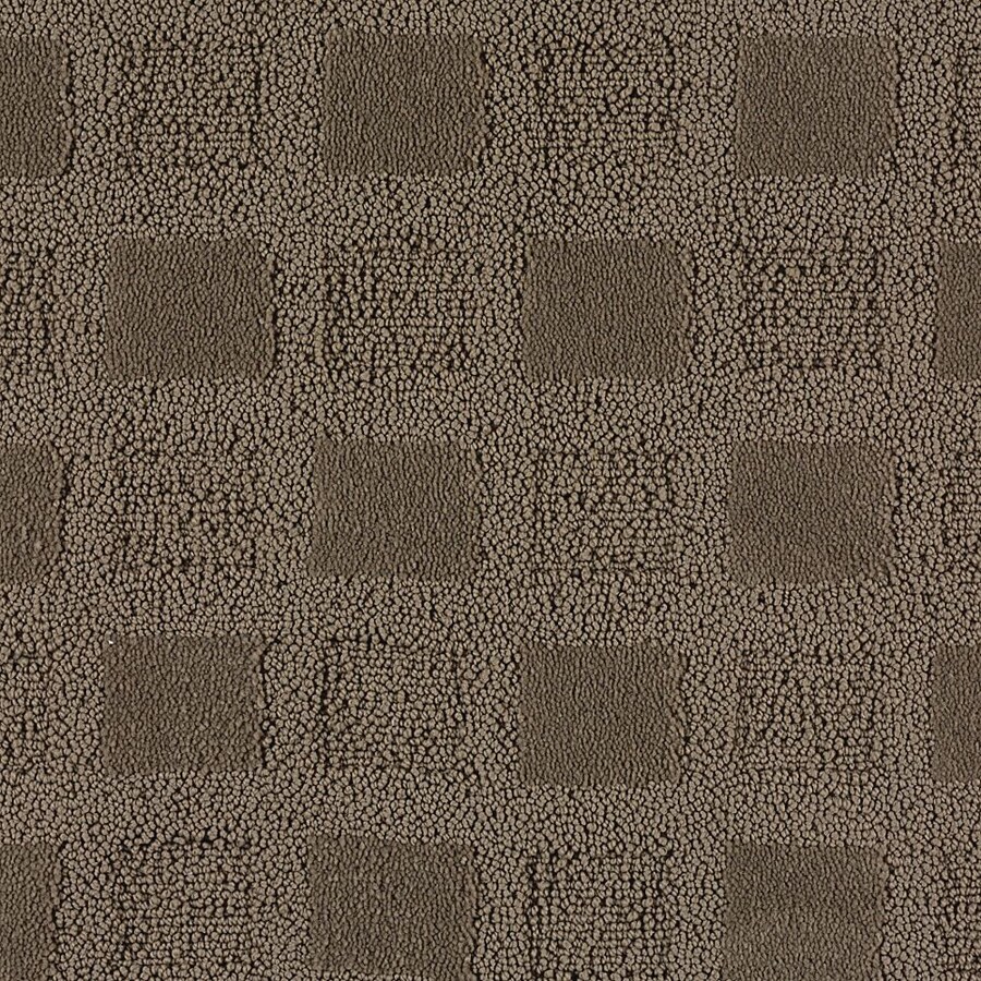 Stainmaster Active Family Silver Lake Theater Fashion Forward Indoor Stainmaster Active Family Silver Lake Theater Fashion Forward Indoor Carpet
