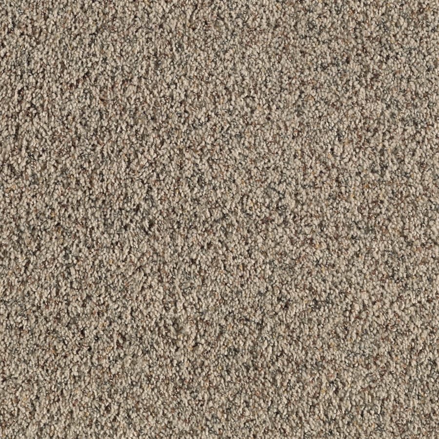 shop feature buy 12 ft w x cut to length sahara sands textured interior carpet at lowes com shop feature buy 12 ft w x cut to length sahara sands textured interior carpet at lowes com