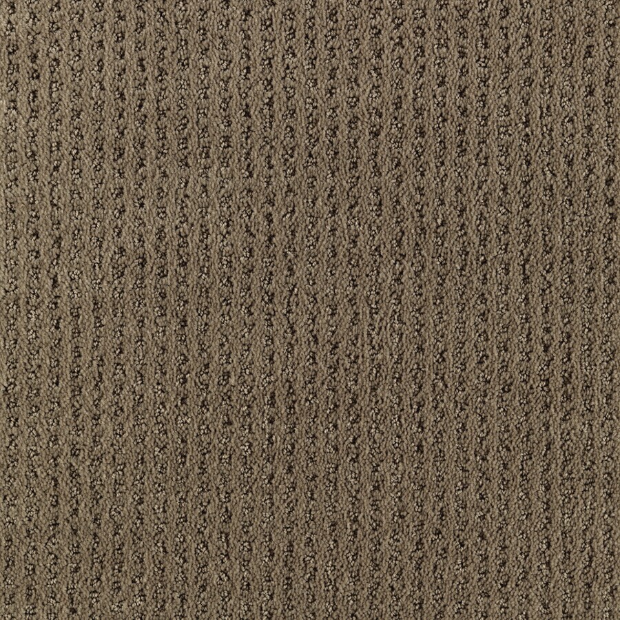 SmartStrand Whitfield Fleeting Fawn Fashion Forward Indoor Carpet in ...