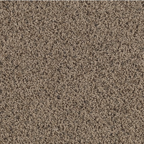 SmartStrand Starfall Brown Wicker Frieze Indoor Carpet at Lowes.com