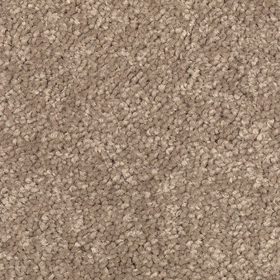 Mohawk Feature Buy 12-ft Textured Bitter Brown Interior Carpet