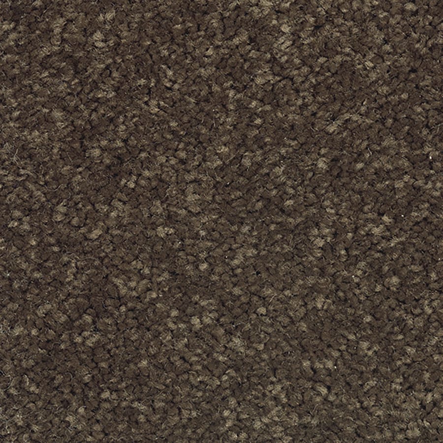shop mohawk cinnamon toast textured interior carpet at shop mohawk cinnamon toast textured interior carpet at