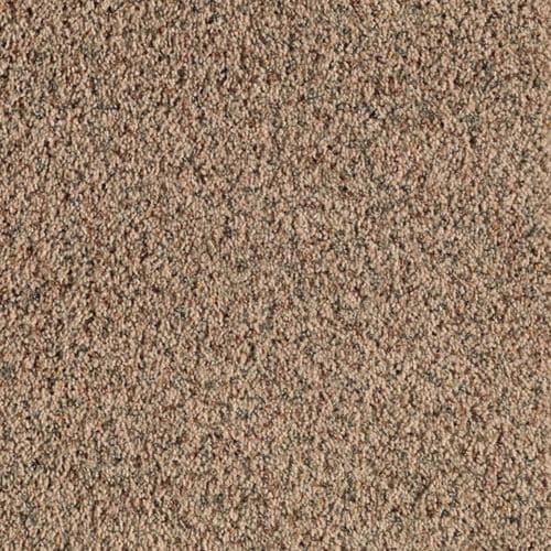 Mohawk Feature Buy 12-ft Textured Avalon Beige Interior Carpet at Lowes.com