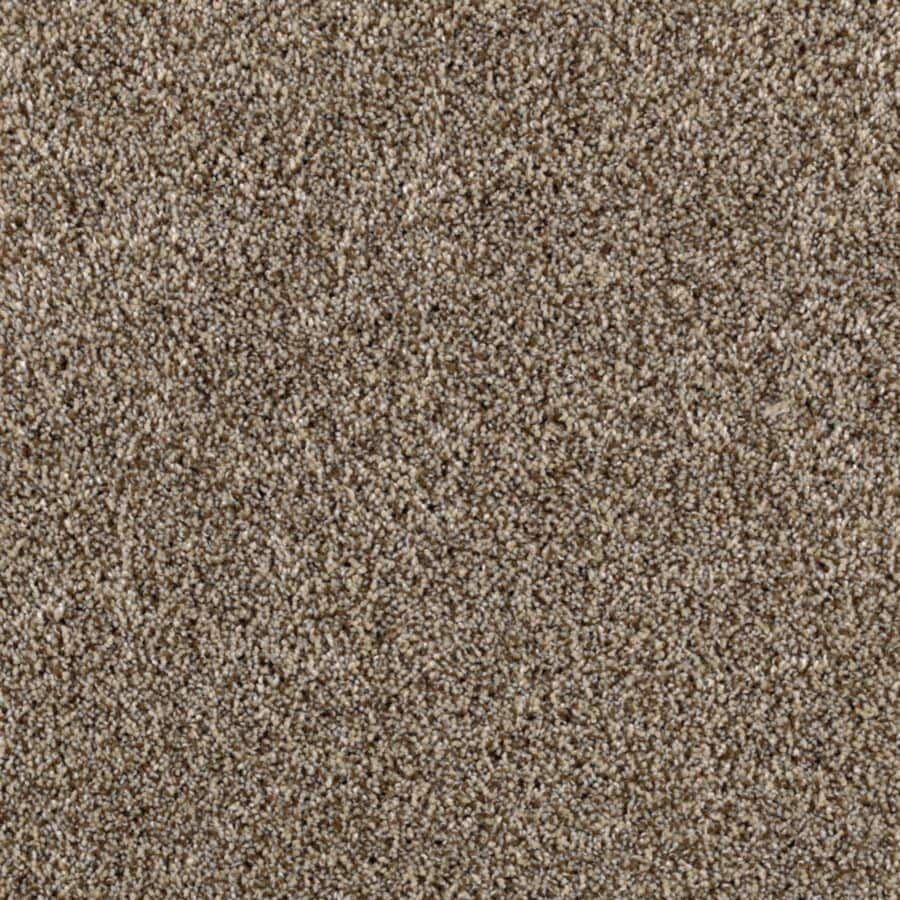 Shop STAINMASTER Essentials Stainmaster 12ft Textured Interior Carpet