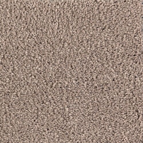 STAINMASTER Essentials Decor Fashion Scotch Tweed Textured Carpet ...