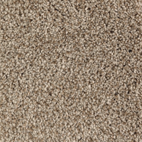 STAINMASTER Essentials Tonal Design Scotch Tweed Textured Carpet ...