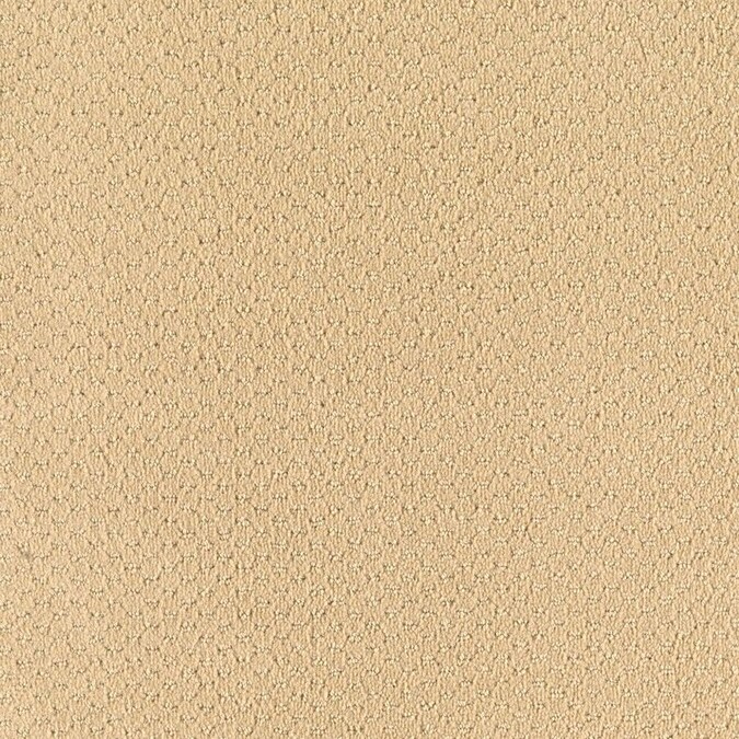 Home & Office Classy Style Champagne Pattern Carpet (Indoor) in the ...