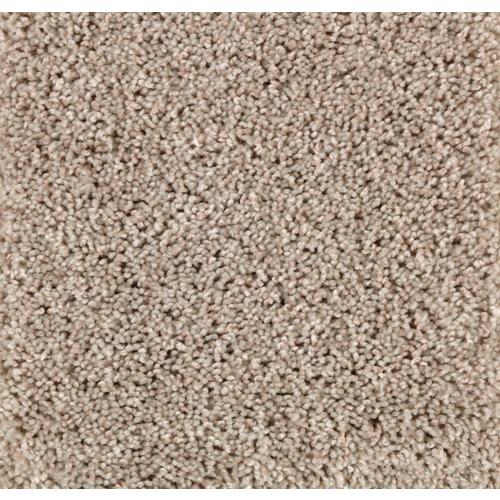 STAINMASTER Cornerstone Carpet Sample Franklin Place Bleached Wool ...