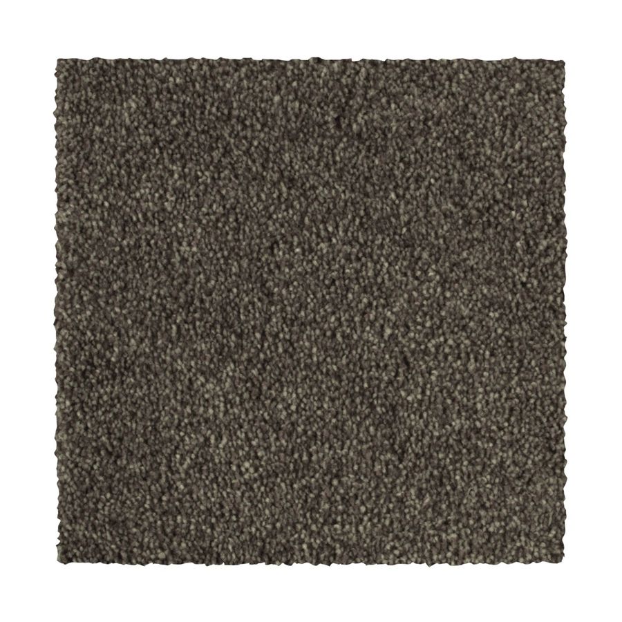 STAINMASTER Essentials 72 Hour Program, Durable Touch I Anchor Grey