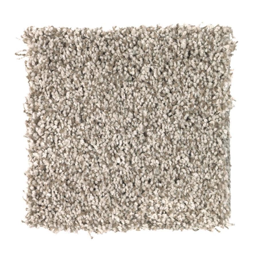 STAINMASTER Essentials 72 Hour Program 