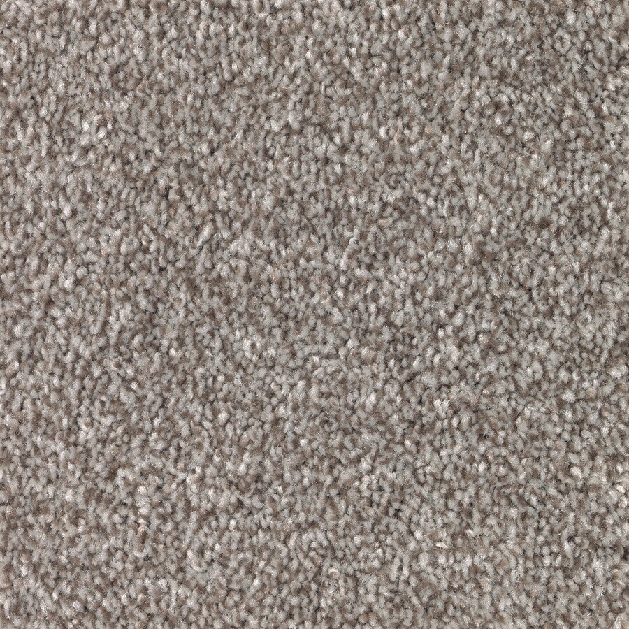 Mohawk Fast Track Weathered Wood Carpet Sample at Lowes.com