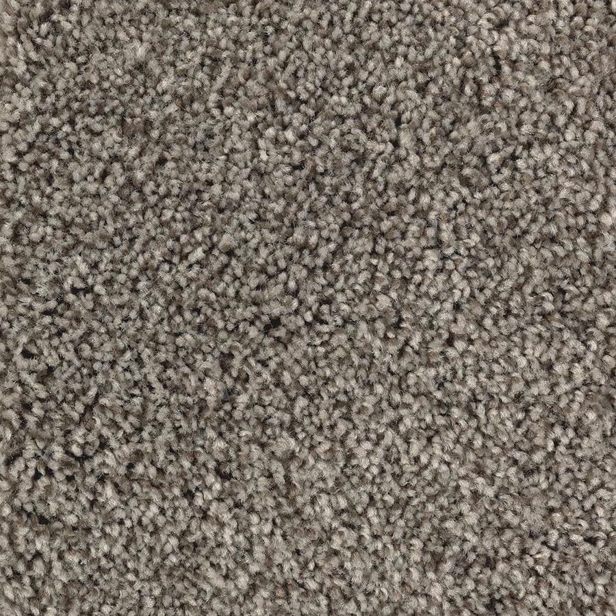 STAINMASTER Stainmaster Tonal Design Perfect Taupe Carpet Sample at ...