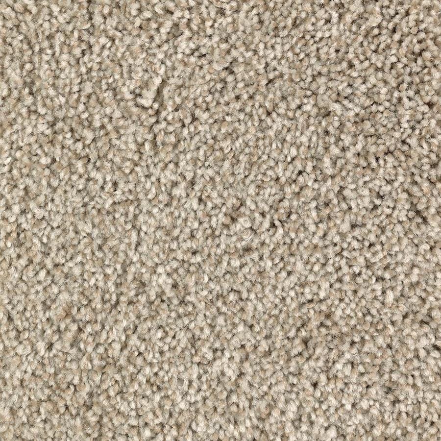 STAINMASTER Stainmaster Tonal Design Tawny Tan Carpet Sample at Lowes.com