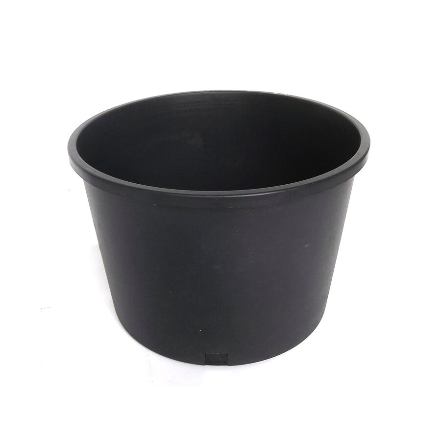 13 25 In W X 9 In H Black Plastic Classic Planter At Lowes Com   643231530481 