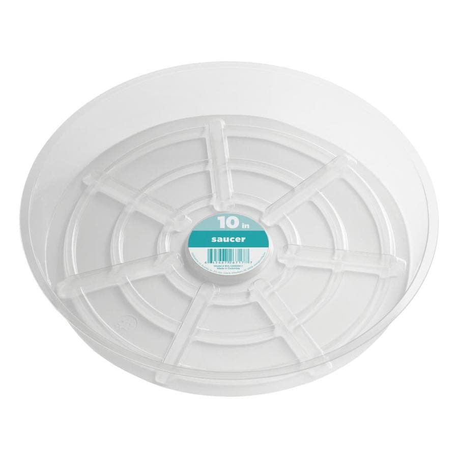 Shop dotchi 10in Clear Plastic Plant Saucer at