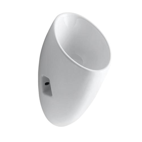 KOHLER 11in W x 23.75in H White Wallmounted in the Urinals