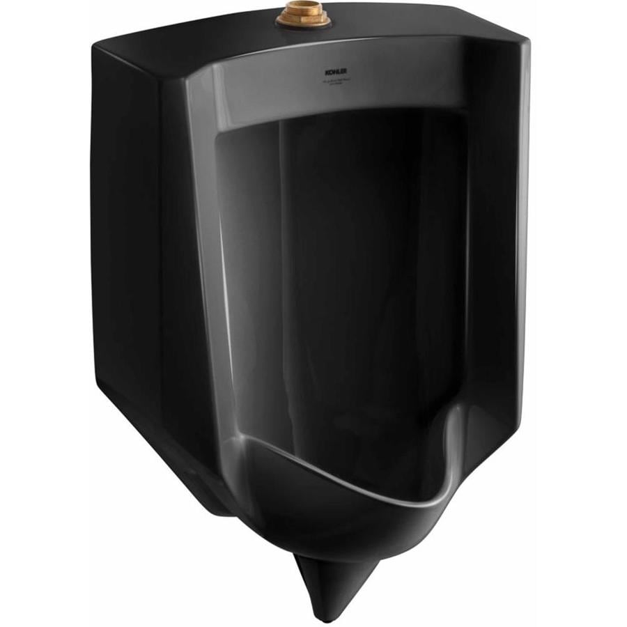 Shop KOHLER 18.25-in W x 27.625-in H Black Wall-Mounted Urinal at Lowes.com