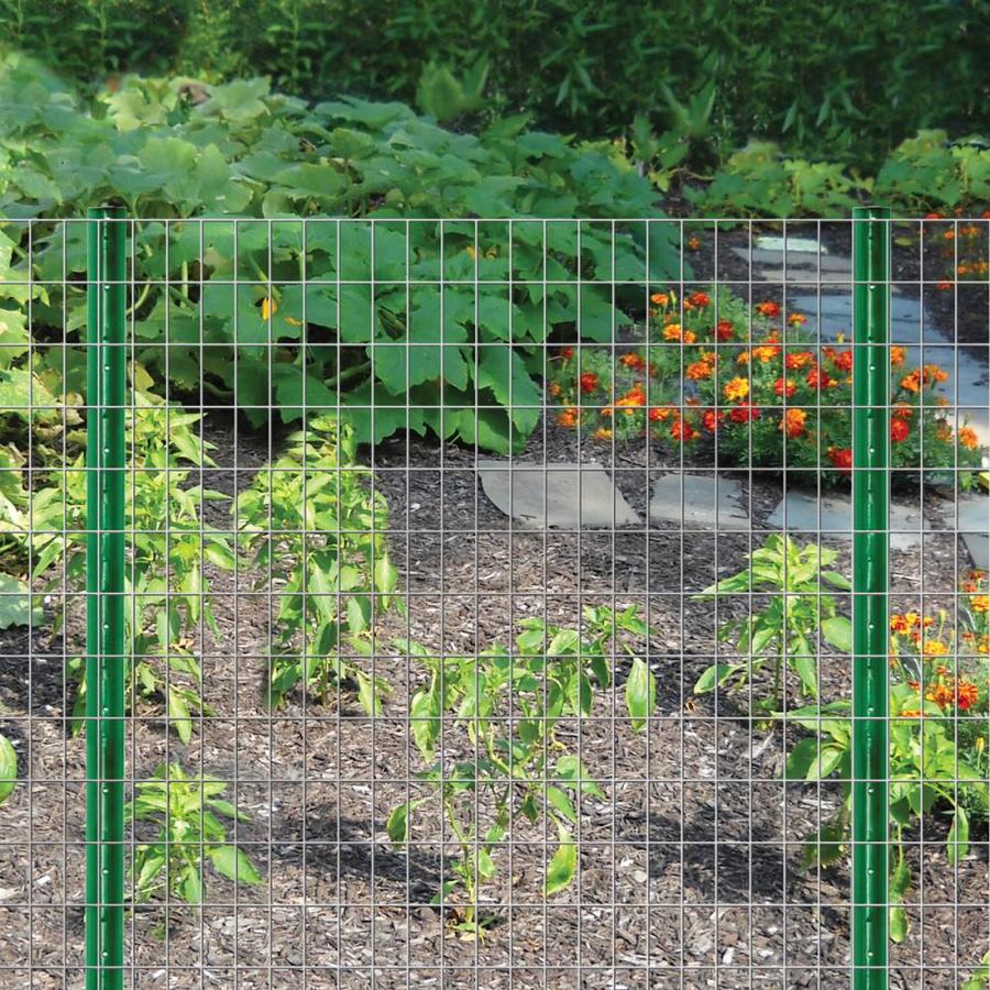 Blue Hawk Rolled Wire 50 Ft X 3 Ft Galvanized Steel Welded Wire Garden Welded Wire Rolled Fencing In The Rolled Fencing Department At Lowes Com