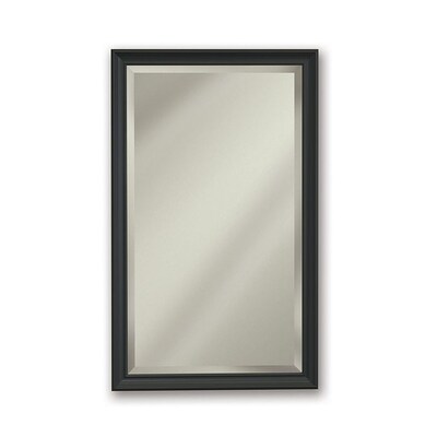 Jensen Studio V 15 In X 25 In Rectangle Surface Recessed Mirrored