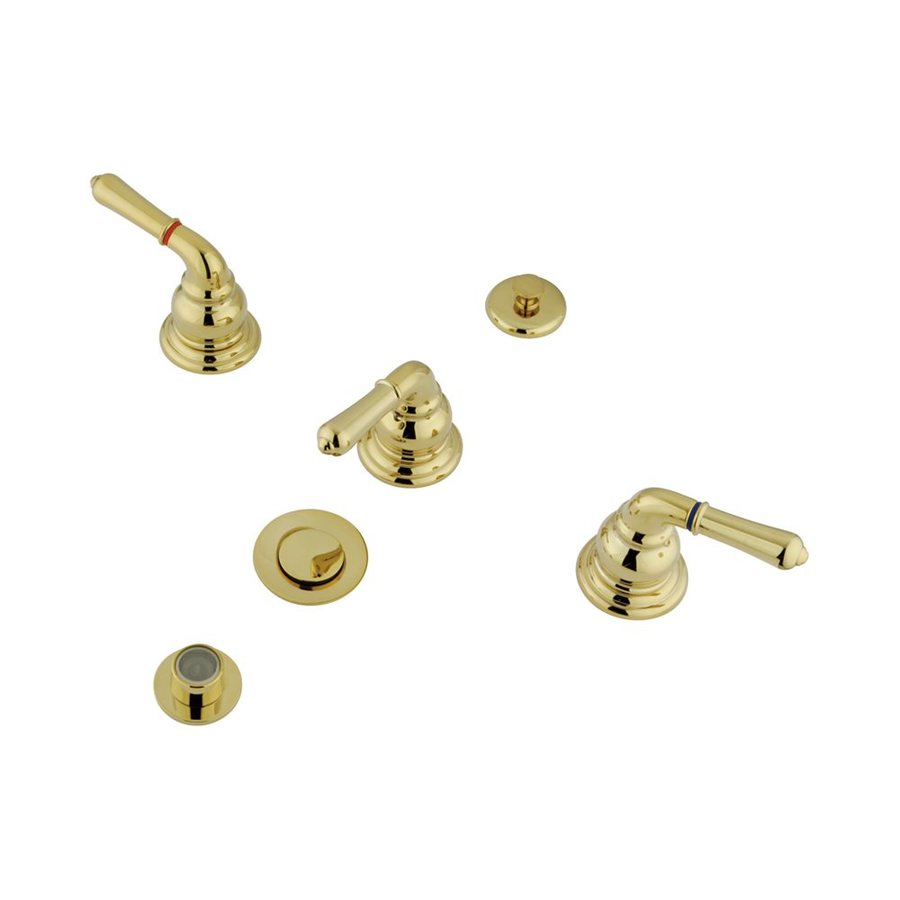 Elements of Design Magellan Polished Brass Bidet Faucet at