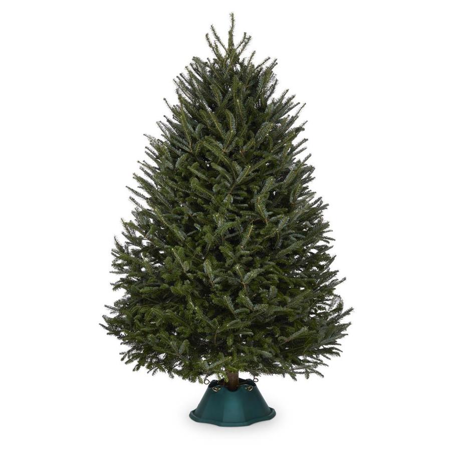 where to get cheap christmas trees